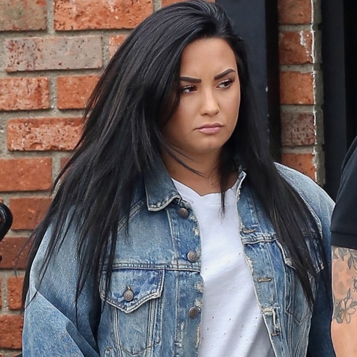 a vida de demi